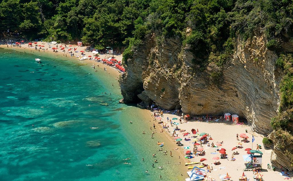6 Palmi Budva