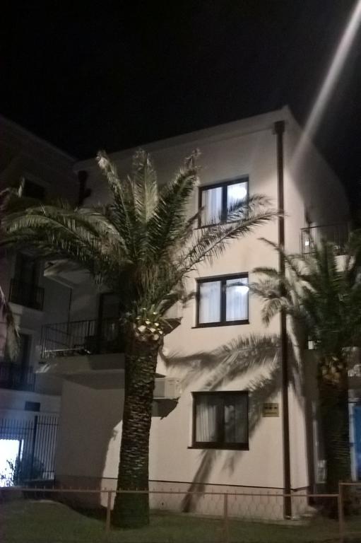 6 Palmi *
