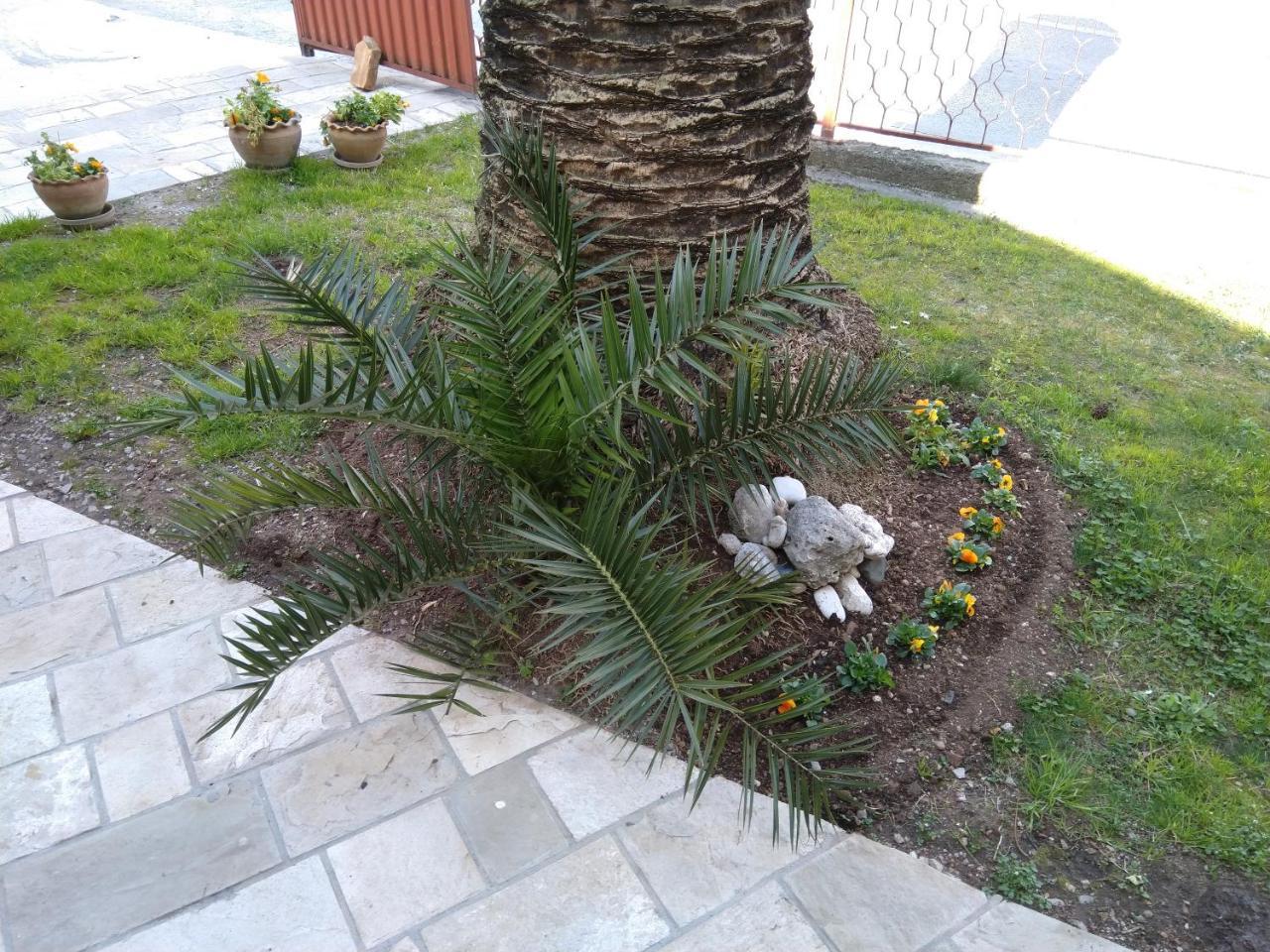 Apartment 6 Palmi Budva