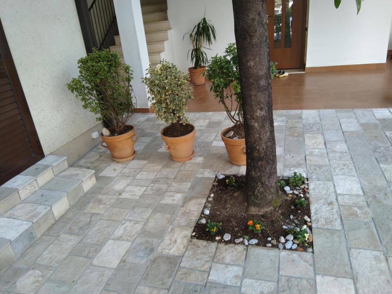 6 Palmi Apartment Budva
